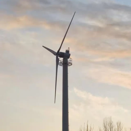 Fabricante chino de generadores eólicos de 100kw Molino de viento Fabricante de energía eólica de turbinas eólicas Energía eólica